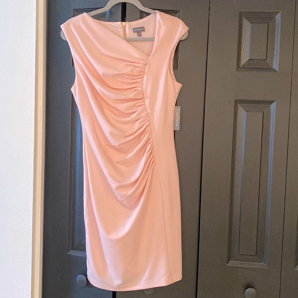 NWT pink The limited  dress